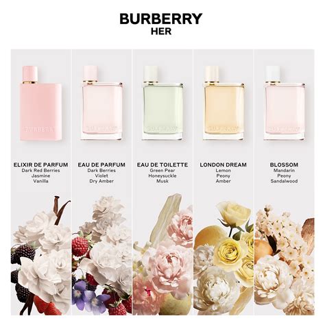 what does burberry her smell like|burberry her elixir noted.